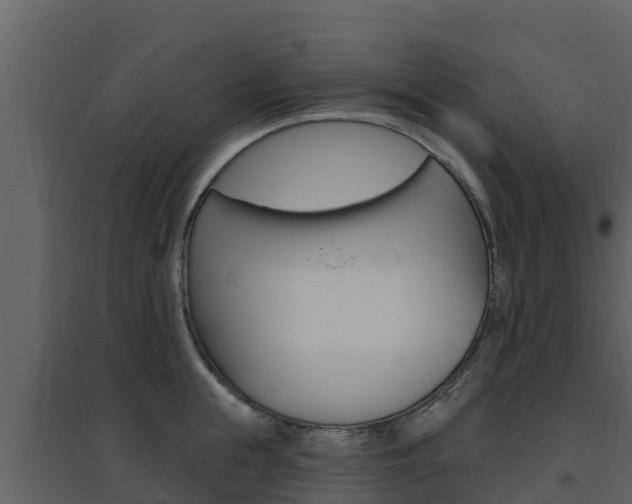X0000097850855200803140855