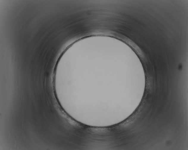 X0000097850856200803140855