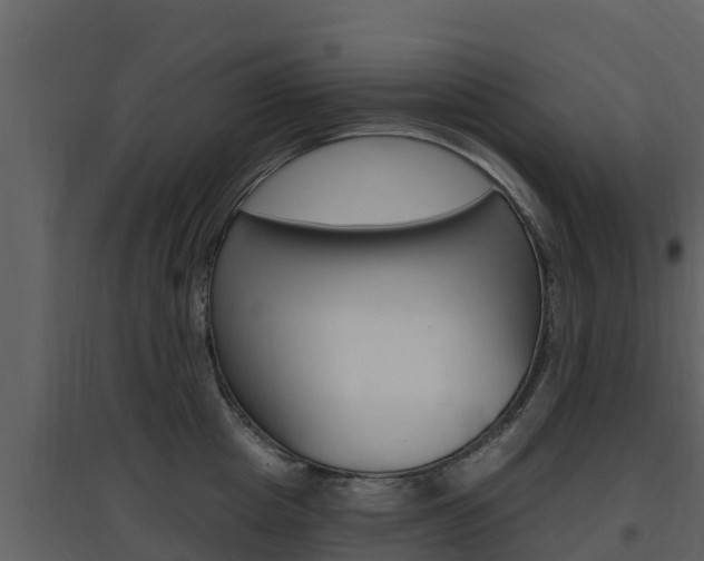 X0000097850857200803140855