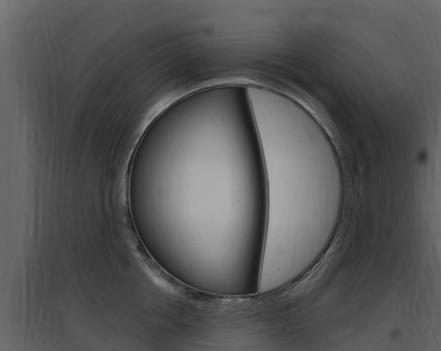 X0000097850858200803140855