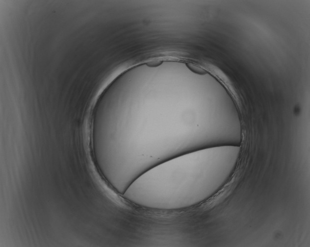 X0000097850859200803140855