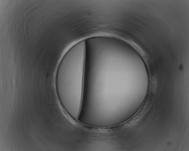 X0000097850862200803140855