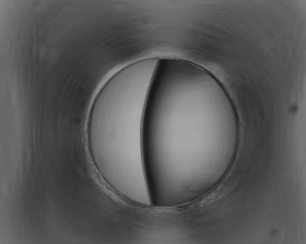 X0000097850864200803140855