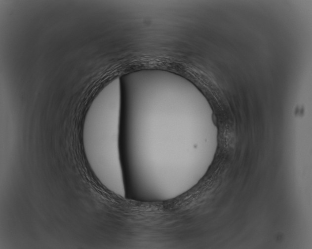 X0000097850865200803140854