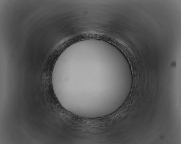 X0000097850870200803140854