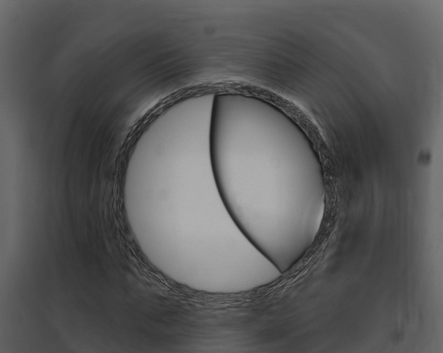 X0000097850871200803140854