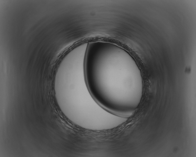 X0000097850872200803140854