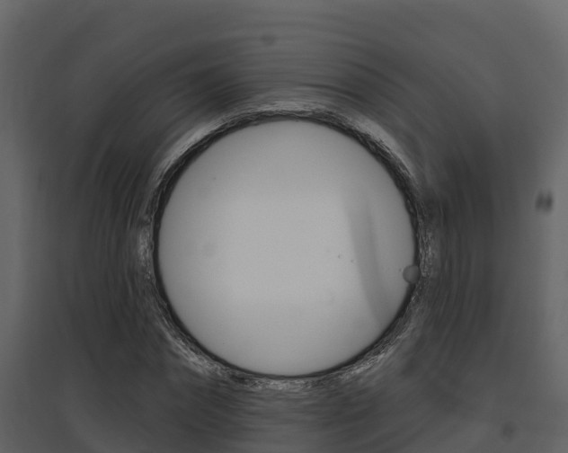X0000097850874200803140854