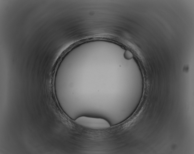 X0000097850875200803140854