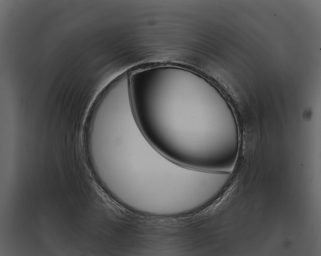 X0000097850876200803140854