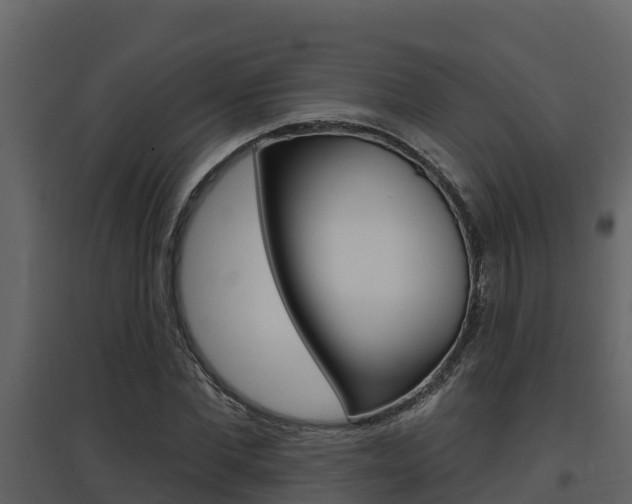X0000097850877200803140854