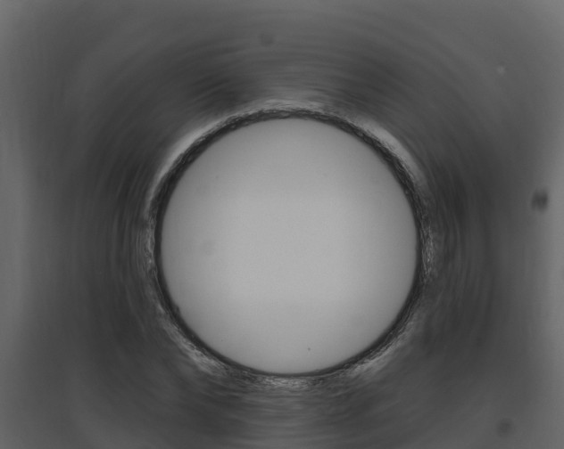 X0000097850878200803140854