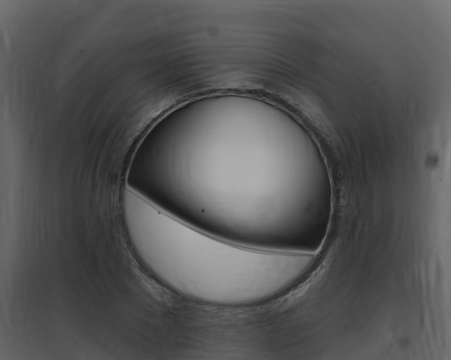 X0000097850881200803140854