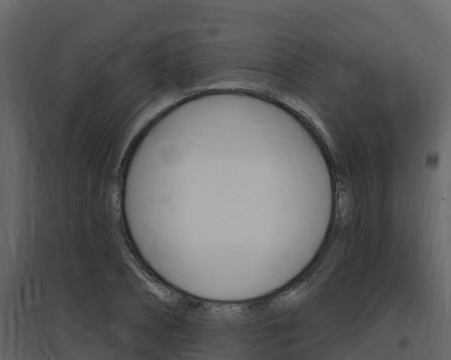 X0000097850882200803140854