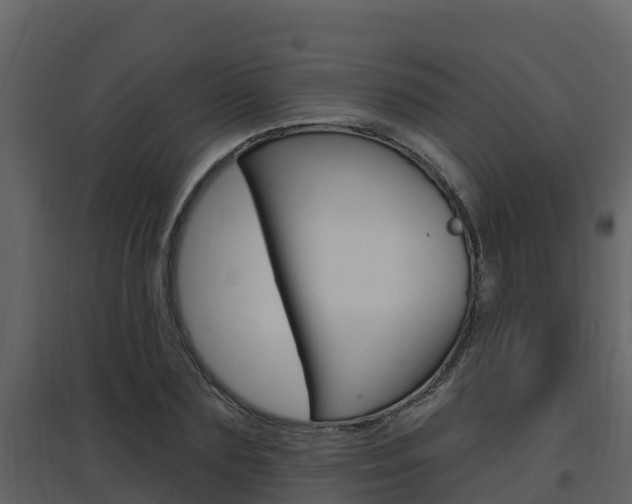 X0000097850883200803140854