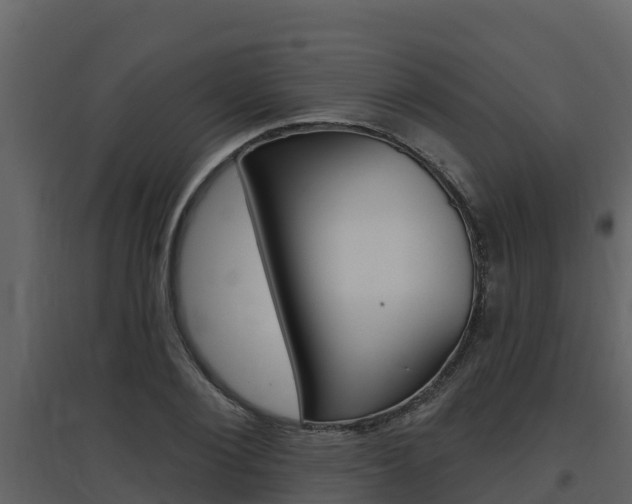 X0000097850884200803140854