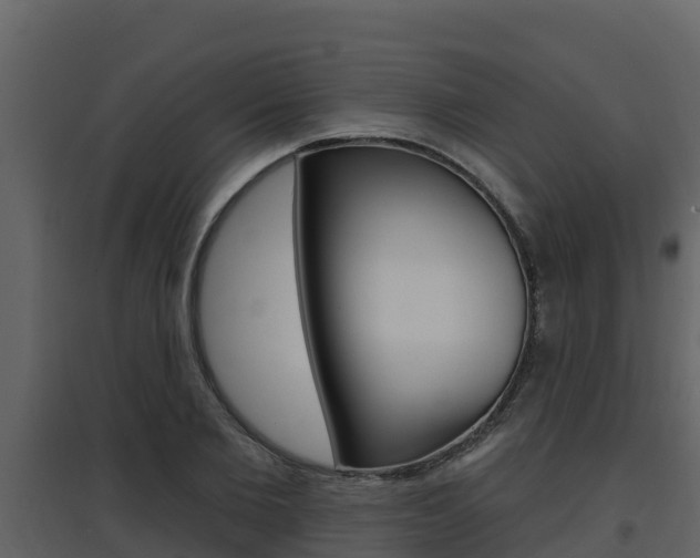 X0000097850885200803140854
