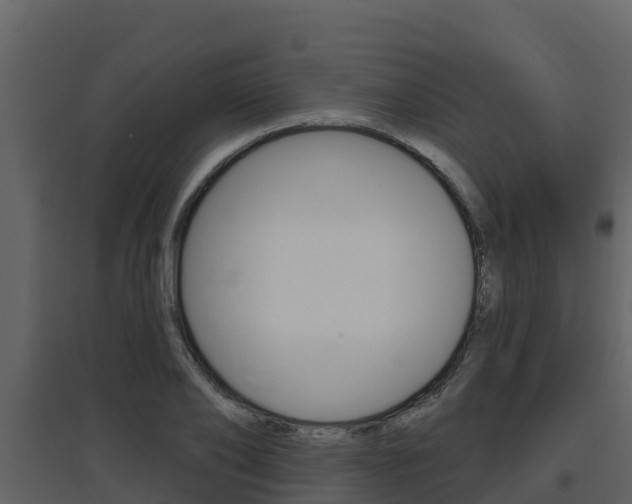 X0000097850886200803140854