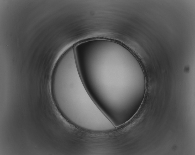 X0000097850888200803140854