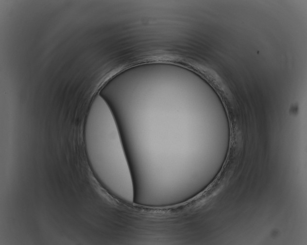 X0000097850889200803140854