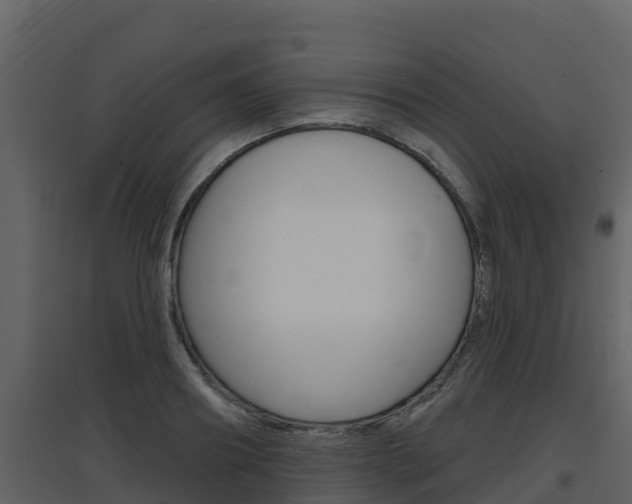 X0000097850890200803140854