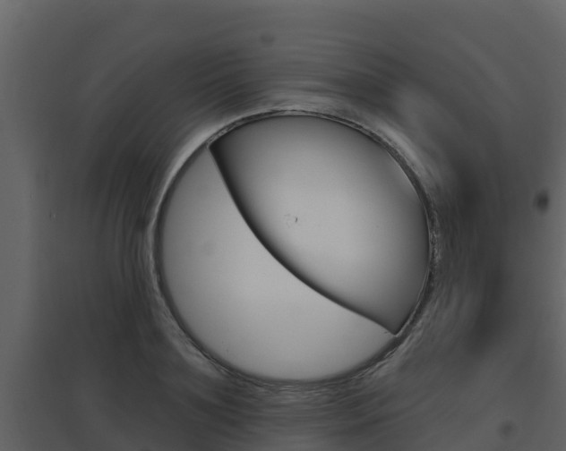 X0000097850891200803140854