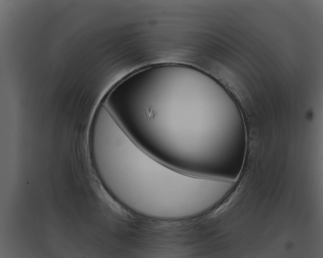 X0000097850892200803140854