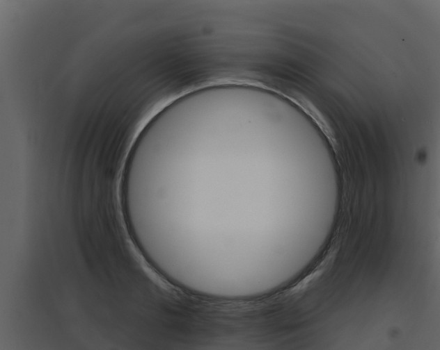 X0000097850893200803140854