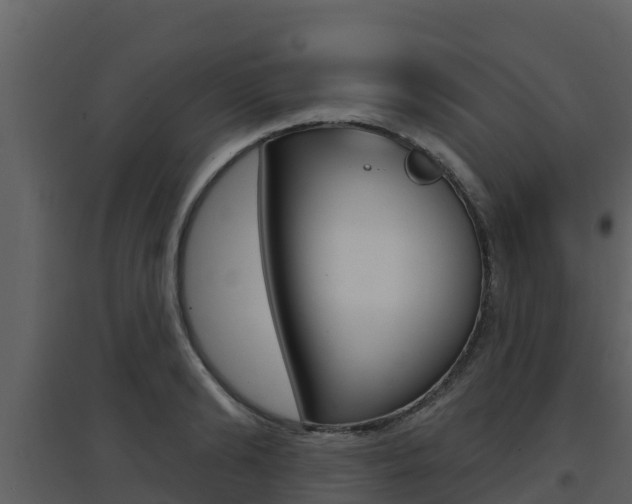X0000097850894200803140854