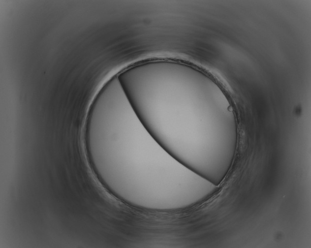 X0000097850895200803140854