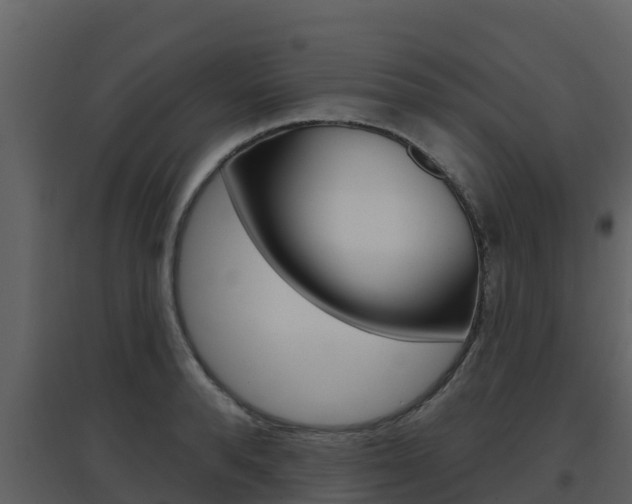 X0000097850896200803140854