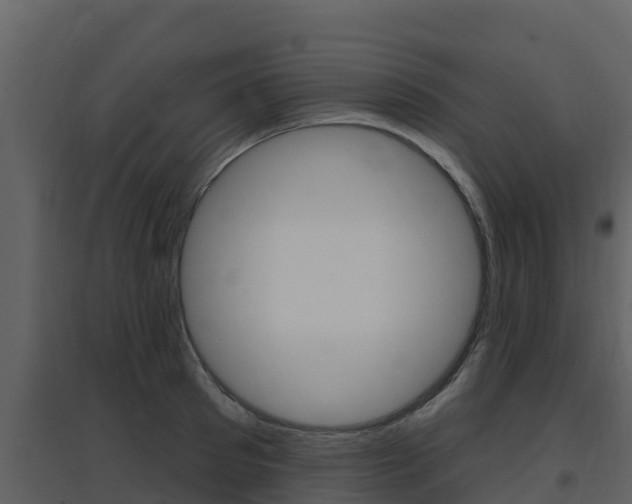X0000097850897200803140854