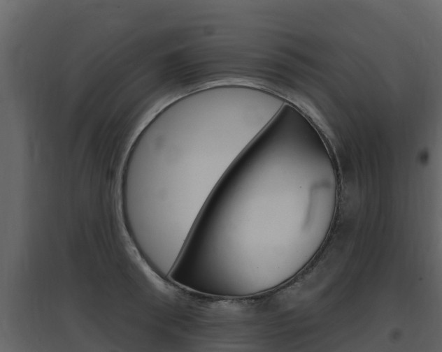 X0000097850898200803140854