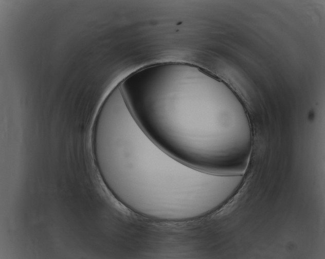 X0000097850900200803140854