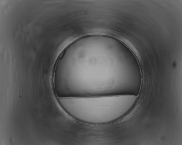 X0000097850901200803140854