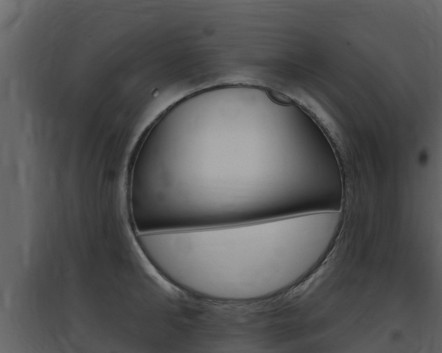 X0000097850902200803140854