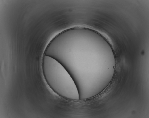 X0000097850903200803140854