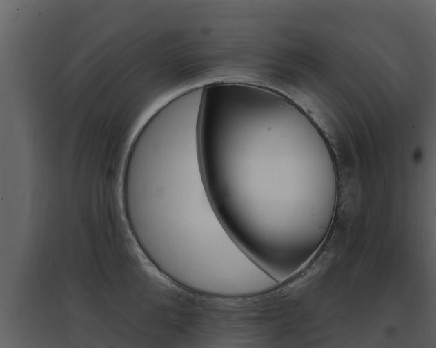 X0000097850904200803140854