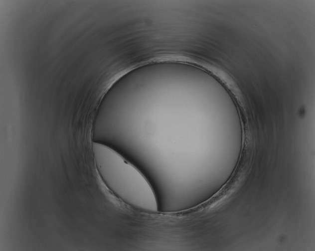 X0000097850905200803140854