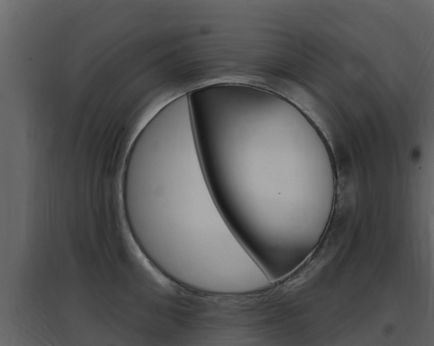 X0000097850906200803140854