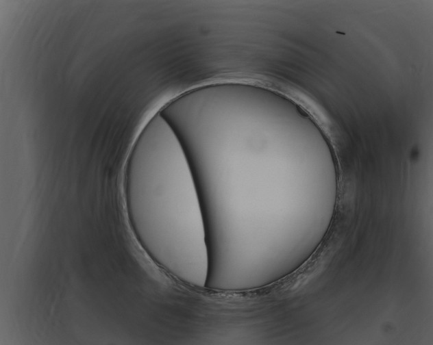 X0000097850907200803140854
