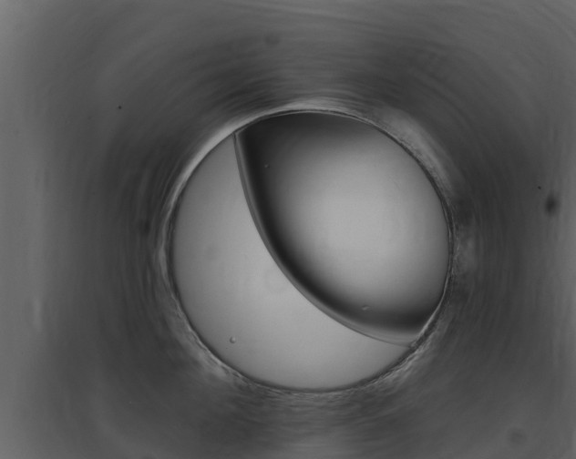 X0000097850908200803140854