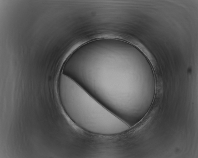 X0000097850909200803140854