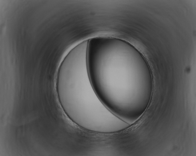 X0000097850912200803140854