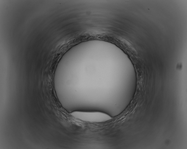 X0000097850917200803140853