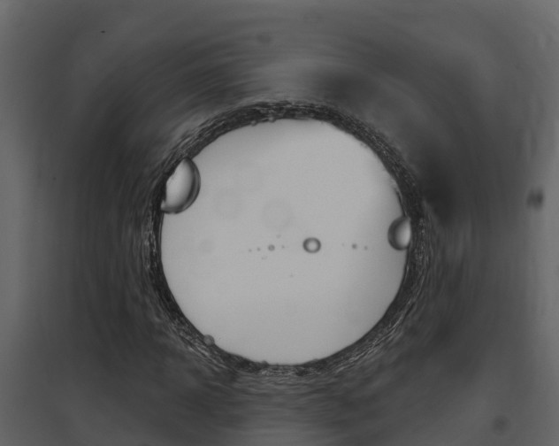X0000097850918200803140853