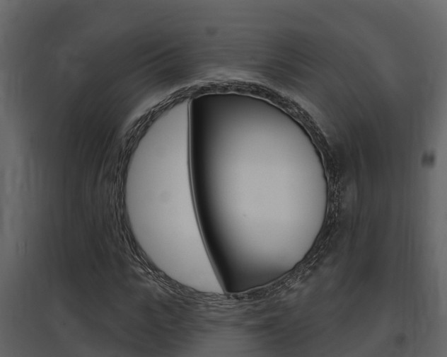 X0000097850919200803140853
