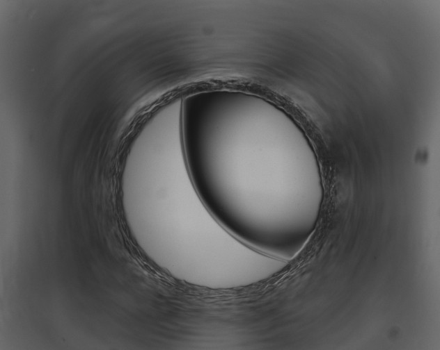 X0000097850920200803140853