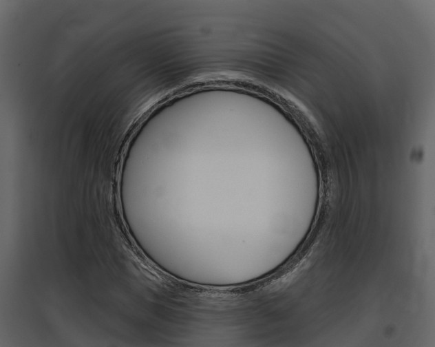 X0000097850921200803140853