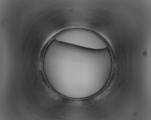 X0000097850925200803140853